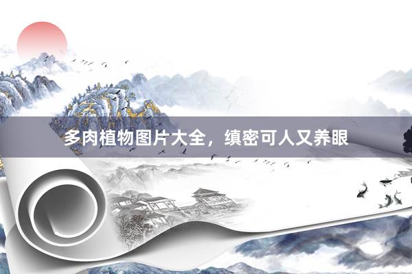 多肉植物图片大全，缜密可人又养眼