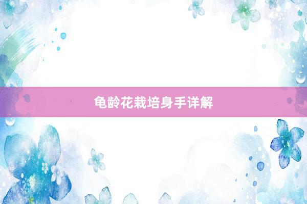龟龄花栽培身手详解