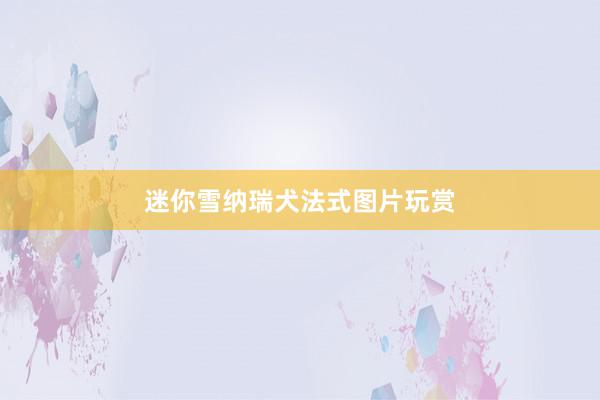 迷你雪纳瑞犬法式图片玩赏
