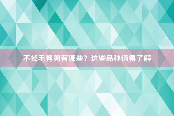 不掉毛狗狗有哪些？这些品种值得了解