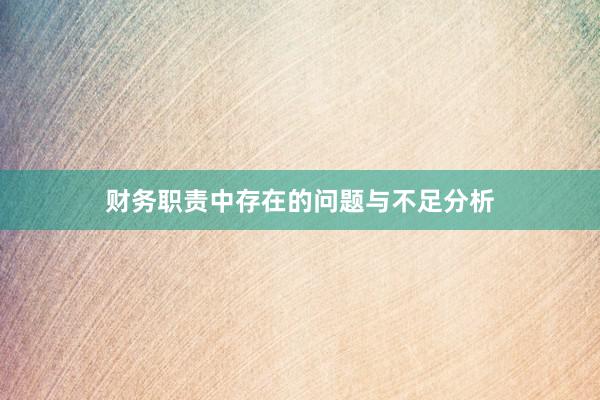 财务职责中存在的问题与不足分析